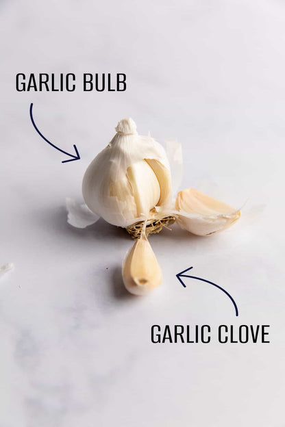 GARLIC EXTRACT SUPPLEMENTS