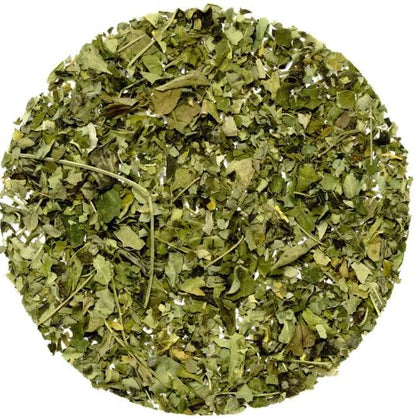 Moringa Herbal Green Tea